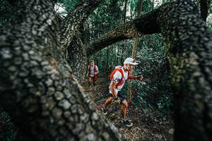 BIB: 
                            <button type="button" onclick="openModal(25392008)" class="btn btn-primary btn-sm float-right btn-popup" data-toggle="modal" data-target=".modal-high-quality">
                        <i class="fas fa-shopping-cart"></i> Add to Cart
                    </button>
                                            <button type="button" onclick="isThisMe(25392008, true)" class="btn btn-success btn-sm float-right btn-popup btn-isme hidden" data-toggle="tooltip" data-placement="bottom" title="นี่คือรูปของคุณใช่ไหม คลิกที่นี่เพื่อเอาเข้าอัลบั้ม">
                        <i class="fas fa-plus"></i> Add to album
                    </button>
                    <button type="button" onclick="isThisMe(25392008, false)" class="btn btn-warning btn-sm float-right btn-popup btn-isnotme hidden">
                        <i class="fas fa-ban"></i> Remove from album
                    </button>